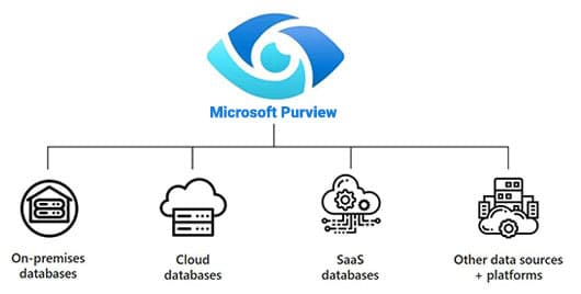 Azure Purview ecosystem